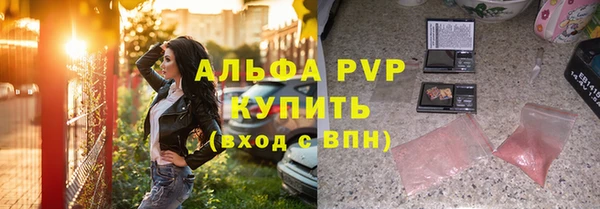 индика Армянск