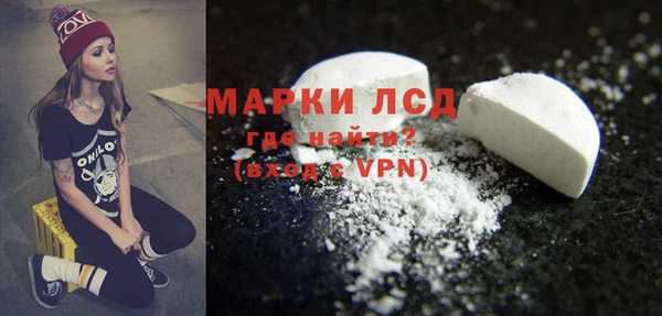индика Армянск