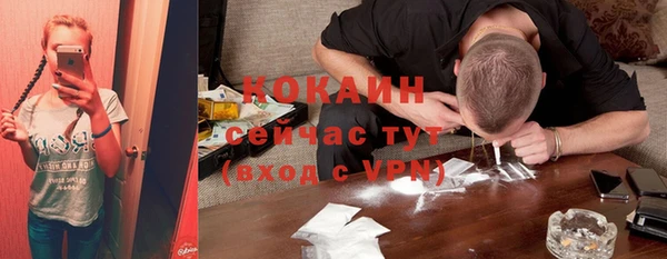индика Армянск