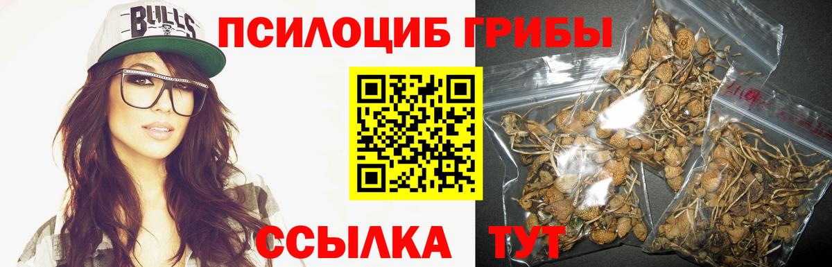 Долгопрудный  Псилоцибиновые грибы Cubensis  Вход с VPN 